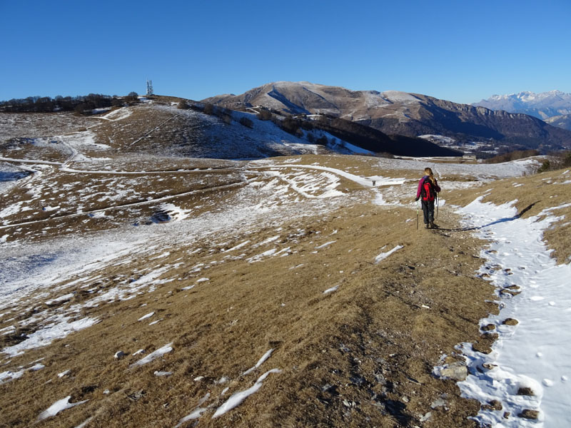 Corno della Paura m.1518 - Brentonico (TN)